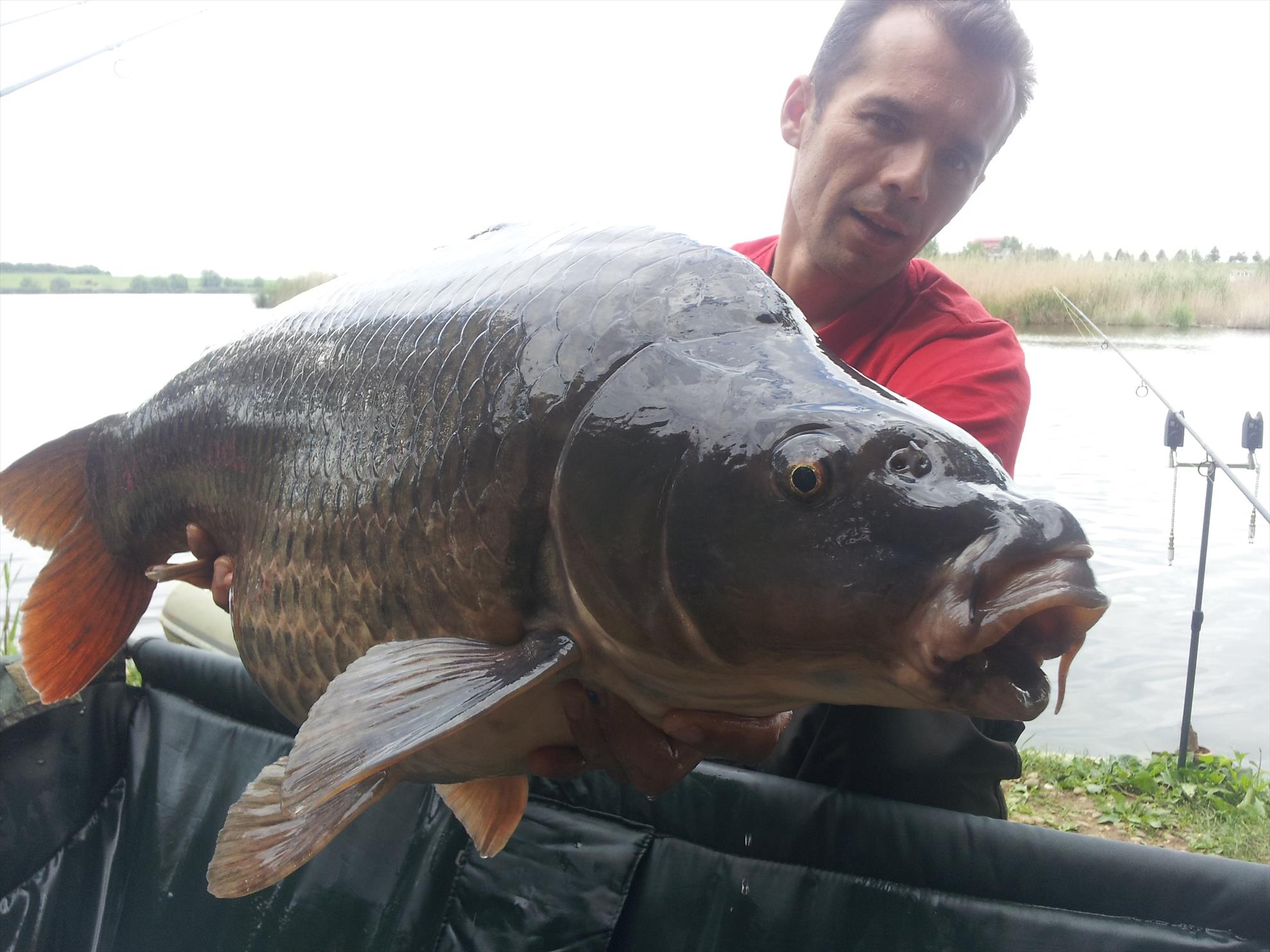 Tancabesti 1 - 4 iunie 2014 - 20150506153100.jpg